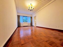 The Cairnhill (D9), Condominium #555566391